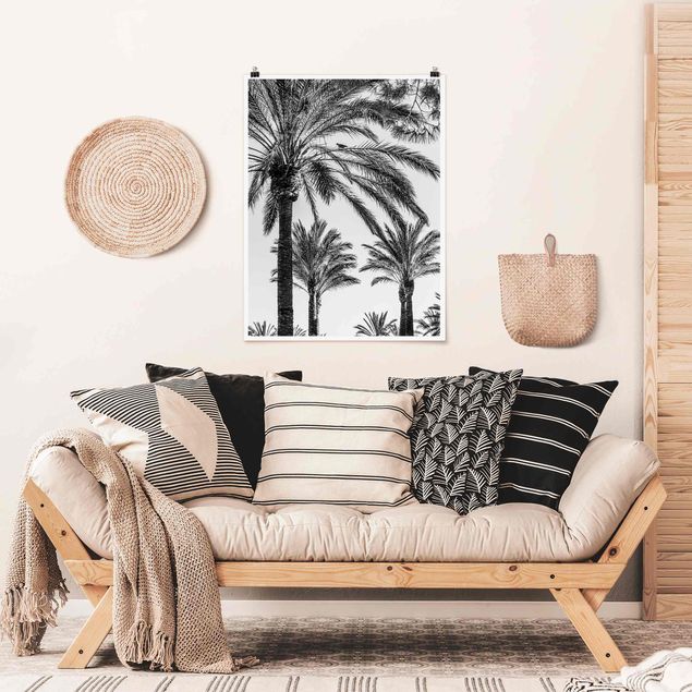 Posters em preto e branco Palm Trees At Sunset Black And White