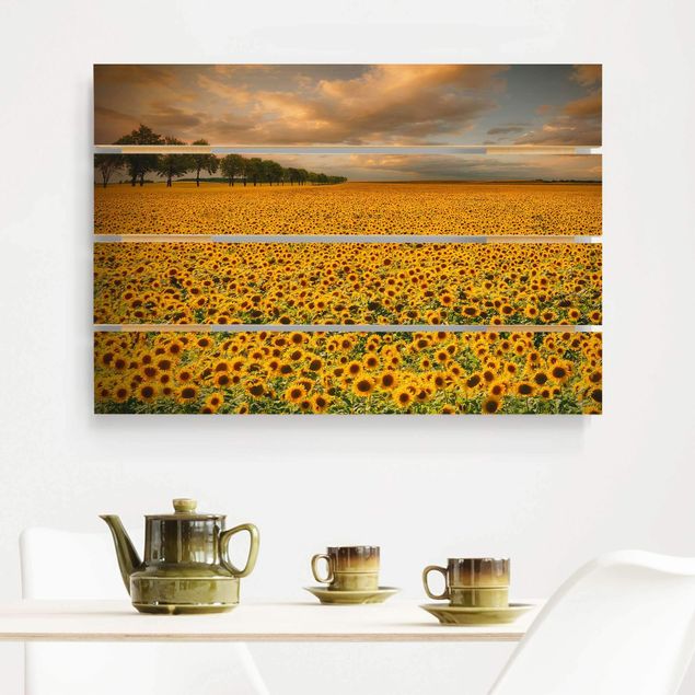 decoraçao para parede de cozinha Field With Sunflowers