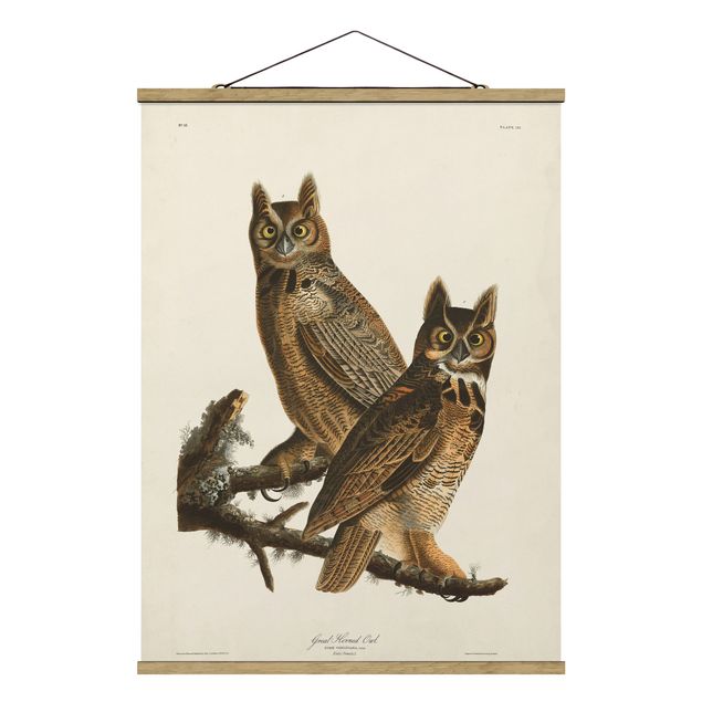 Quadros animais Vintage Board Two Large Owls