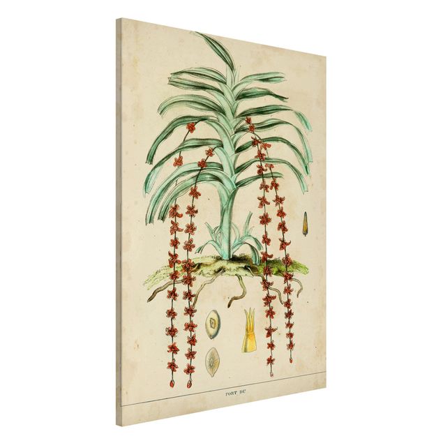decoraçao para parede de cozinha Vintage Board Exotic Palms IV
