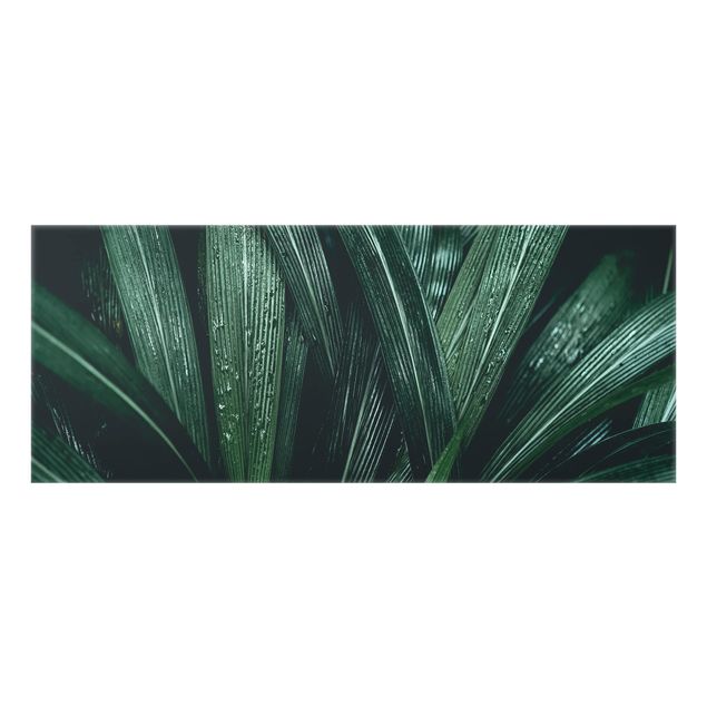 Painel anti-salpicos de cozinha Green Palm Leaves