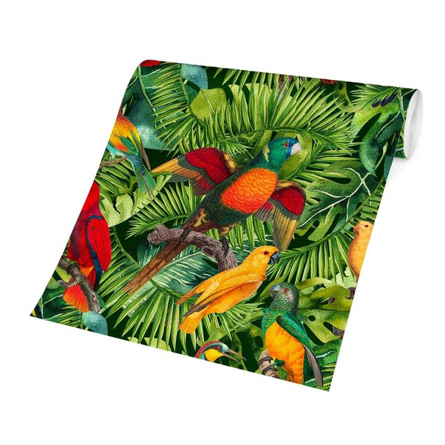 papel de parede com animais Colourful Collage - Parrots In The Jungle