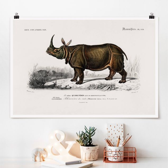 decoraçao cozinha Vintage Board Rhino