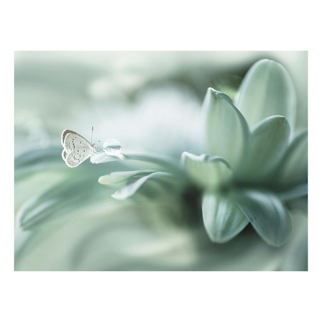 Painel anti-salpicos de cozinha Butterfly And Dew Drops In Pastel Green