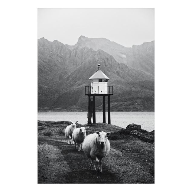 quadros modernos para quarto de casal Three Sheep On the Lofoten