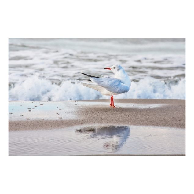 quadro com paisagens Seagull On The Beach In Front Of The Sea