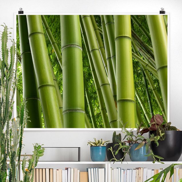 decoraçao para parede de cozinha Bamboo Trees No.2