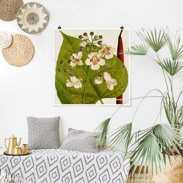 decoraçao para parede de cozinha Tableau Leaf Flower Fruit V