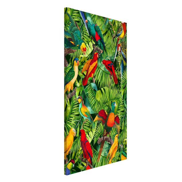 decoraçao cozinha Colourful Collage - Parrots In The Jungle