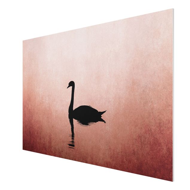 Quadros famosos Swan In Sunset