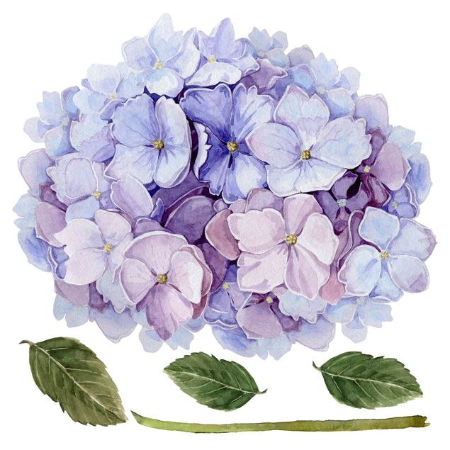 autocolantes decorativos parede Watercolour Hydrangea Blue Bloom XXL