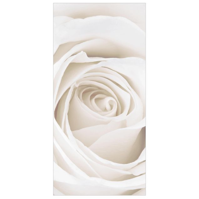Divisórias de ambiente Pretty White Rose