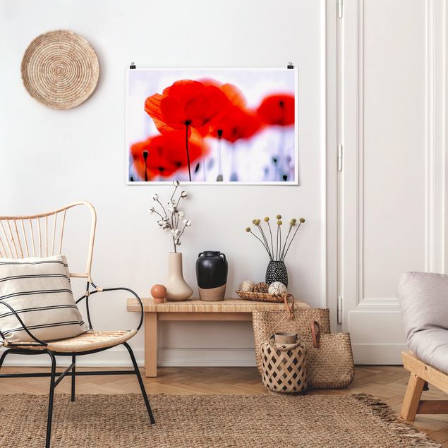 Posters flores Magic Poppies
