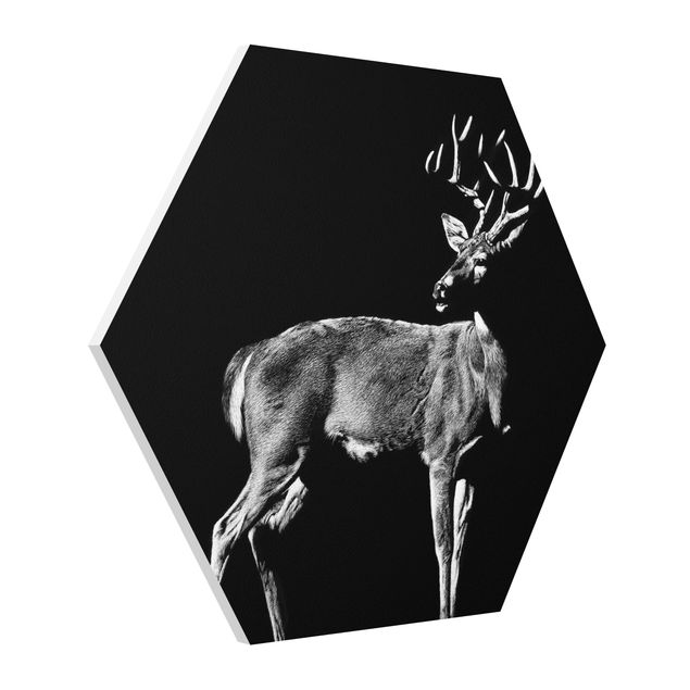 quadro animal Deer In The Dark