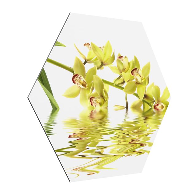 quadros flores Elegant Orchid Waters