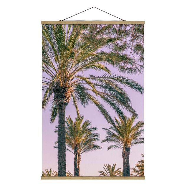 quadro com flores Palm Trees At Sunset