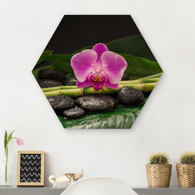 Quadros orquídeas Green Bamboo With Orchid Blossom