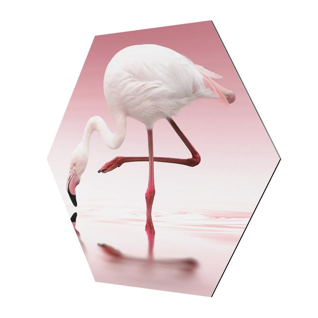 Quadros decorativos Flamingo Dance