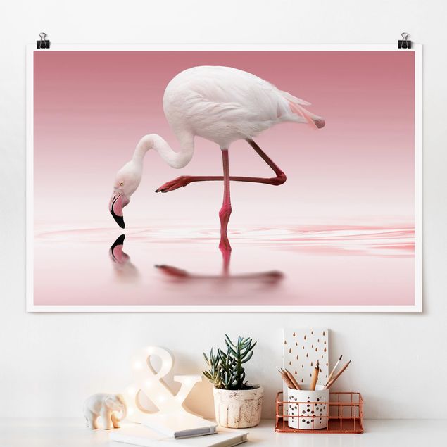 decoraçoes cozinha Flamingo Dance