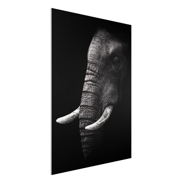 decoraçao cozinha Dark Elephant Portrait