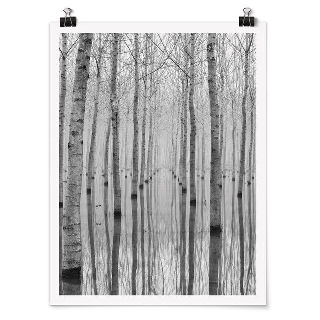 Posters em preto e branco Birches In November