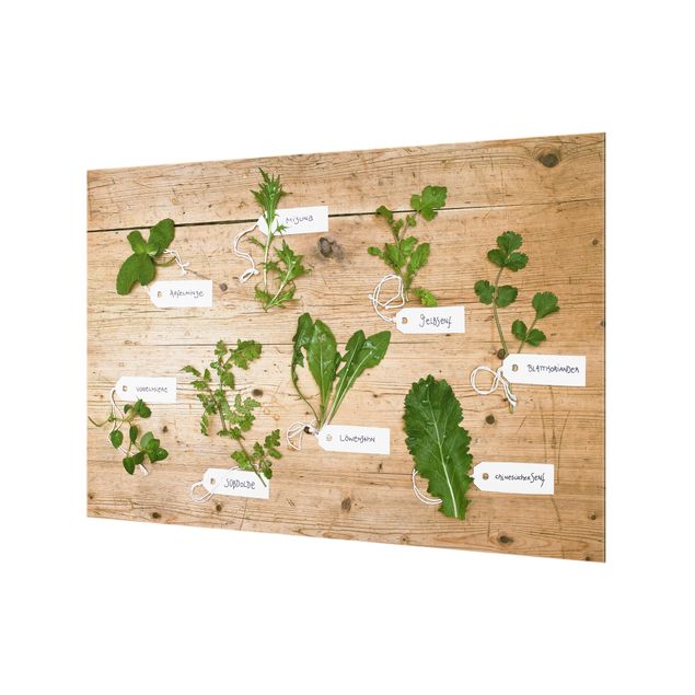 Painel anti-salpicos de cozinha Herbs With Labeling