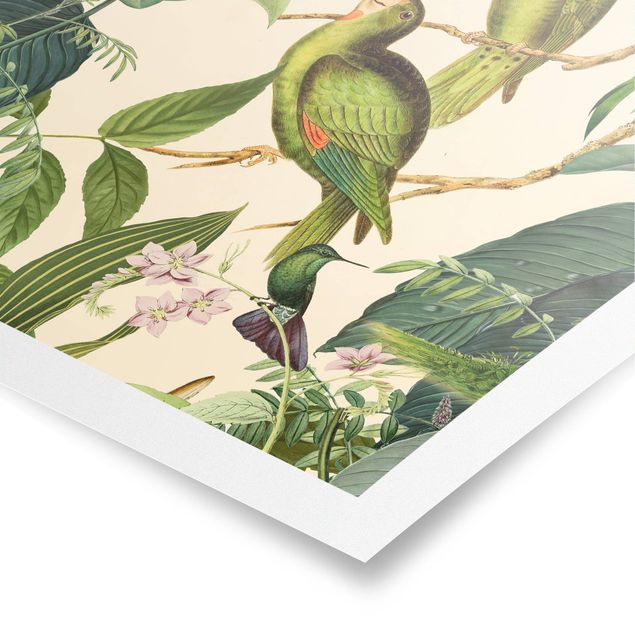 Posters quadros famosos Vintage Collage - Parrots In The Jungle