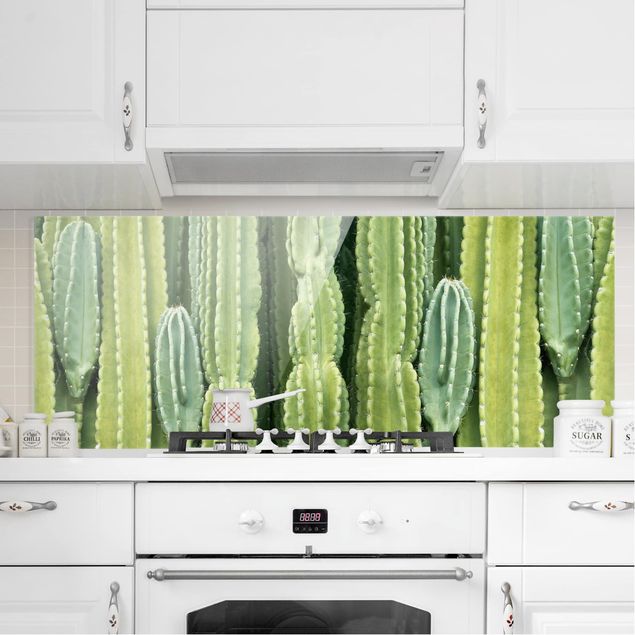 decoraçao para parede de cozinha Cactus Wall