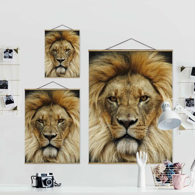 Quadros decorativos Wisdom Of Lion