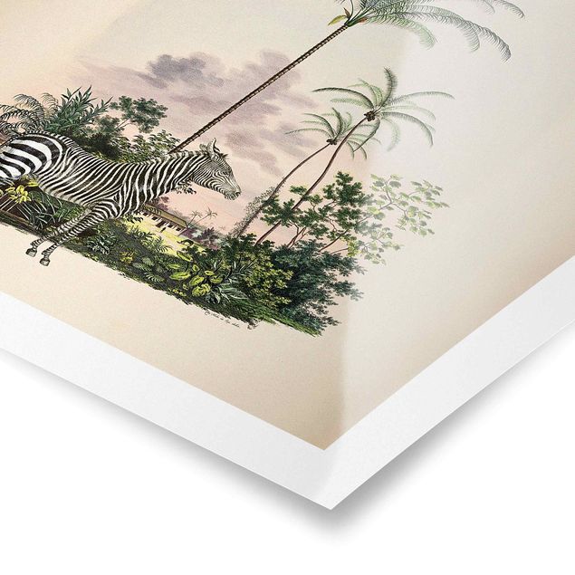 Posters animais Zebra Front Of Palm Trees Illustration