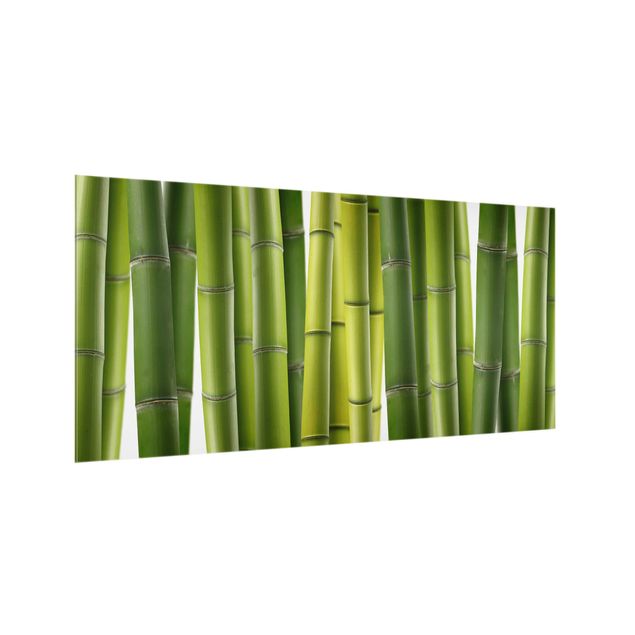 painel anti salpicos cozinha Bamboo Plants