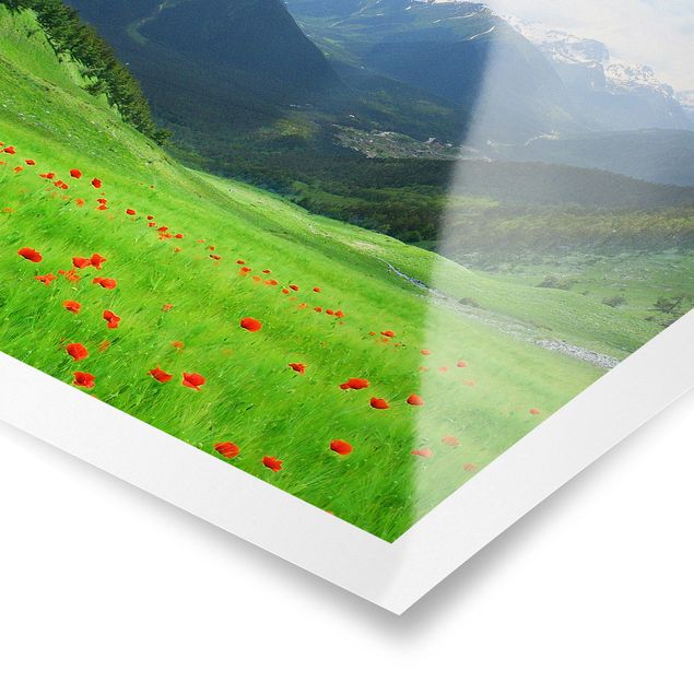 Posters flores Alpine Meadow