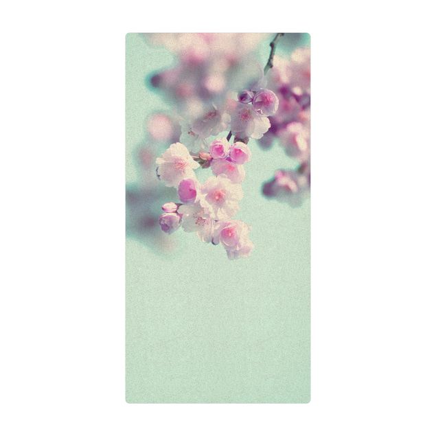 Tapete de cortiça Colourful Cherry Blossoms
