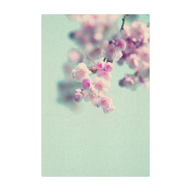Tapete de cortiça Colourful Cherry Blossoms