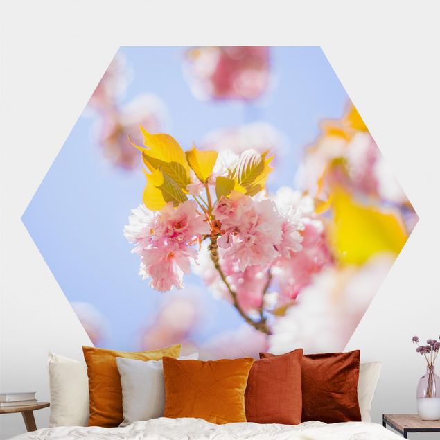 papel de parede para quarto de casal moderno Colourful Cherry Blossoms