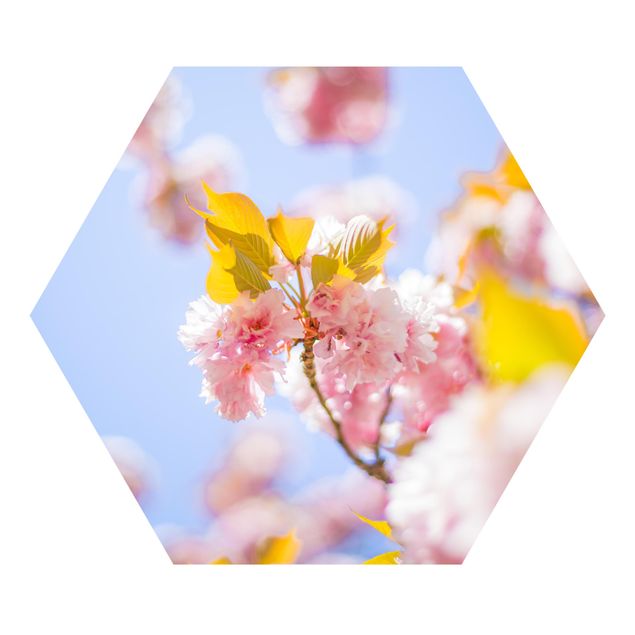 Papel de parede hexagonal Colourful Cherry Blossoms