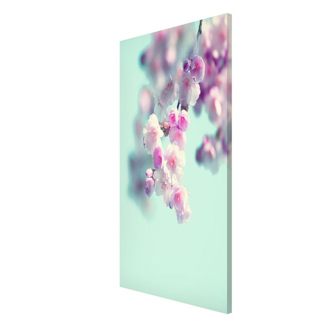 Quadros magnéticos flores Colourful Cherry Blossoms
