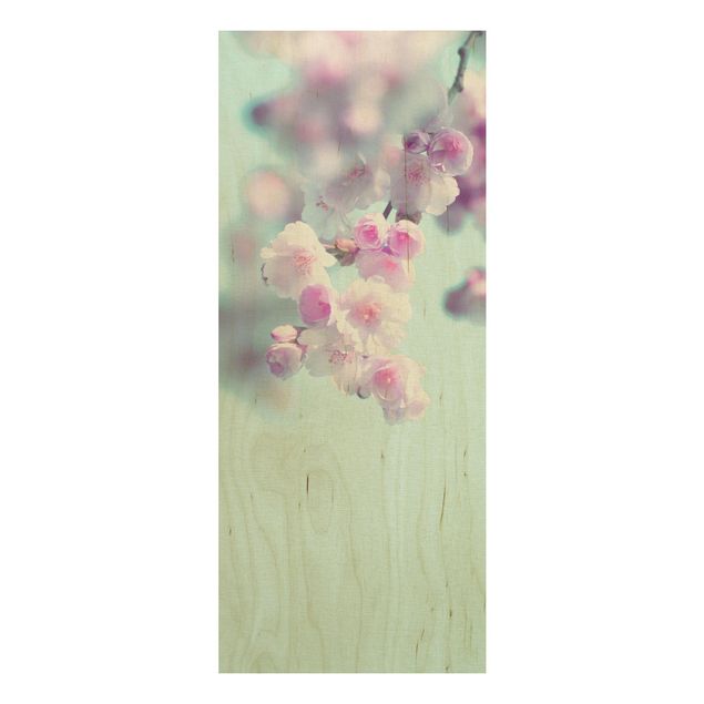 Quadros em madeira flores Colourful Cherry Blossoms