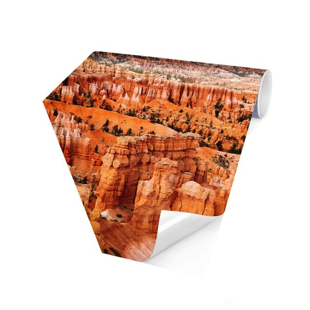 Papel de parede laranja Blaze Of Colour Of The Grand Canyon