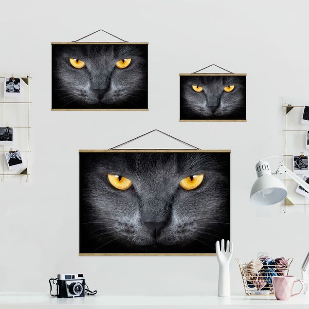 decoração quadros Cat's Gaze