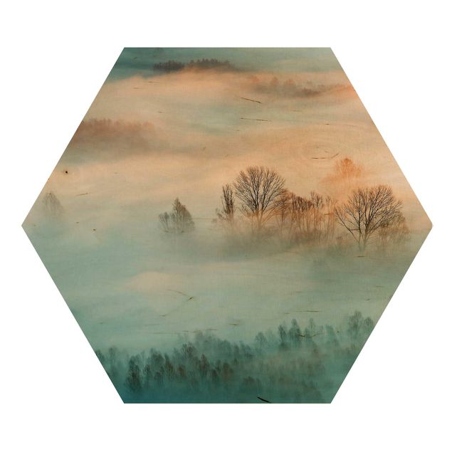 Quadros hexagonais Fog At Sunrise