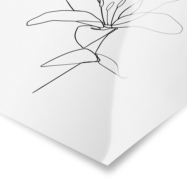 quadros preto e branco para decoração Line Art Flower Black White