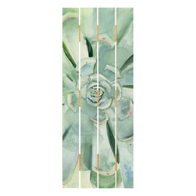quadros em madeira para decoração Succulent Plant Watercolour Light Coloured