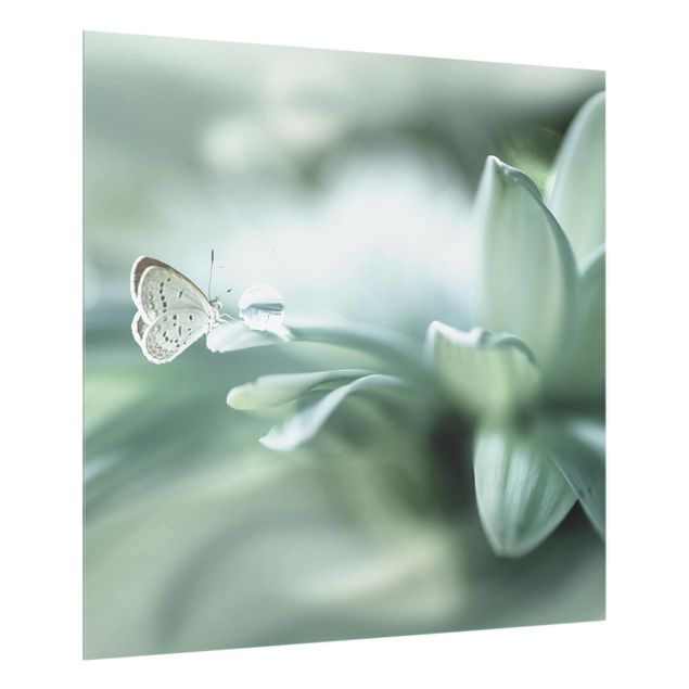 painel anti salpicos cozinha Butterfly And Dew Drops In Pastel Green