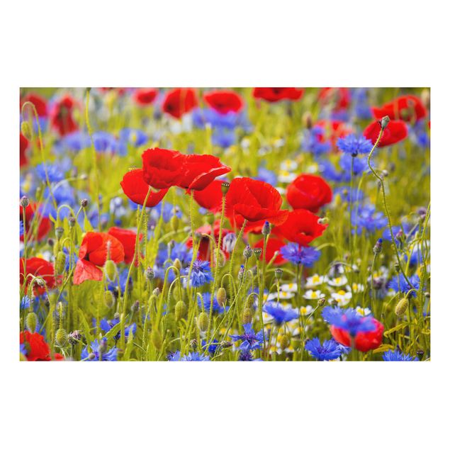 decoraçoes cozinha Summer Meadow With Poppies And Cornflowers