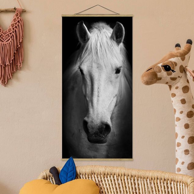 decoraçoes cozinha Dream Of A Horse
