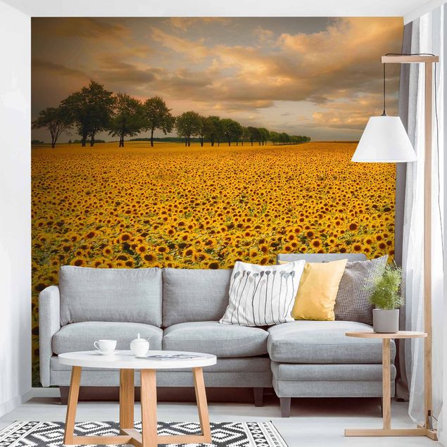 Papel de parede girassóis Field With Sunflowers