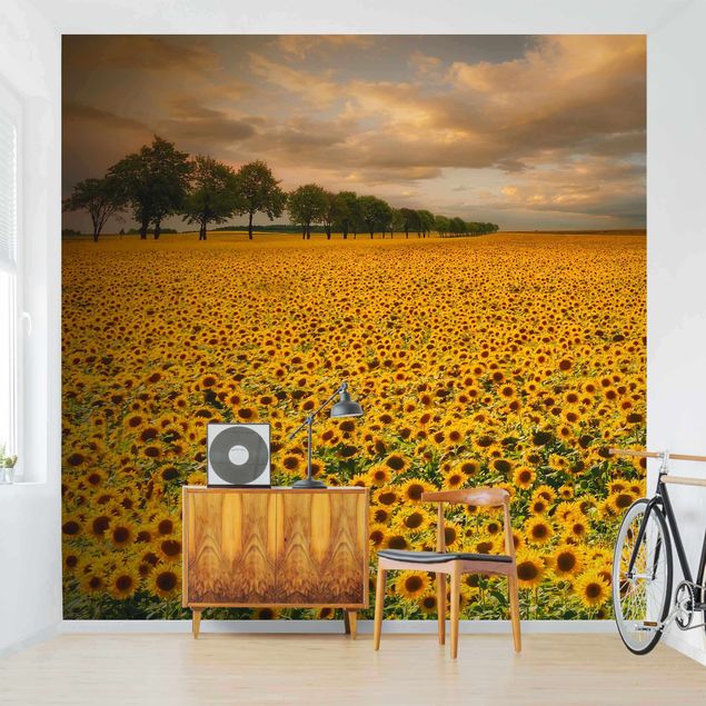 papel de parede para quarto de casal moderno Field With Sunflowers