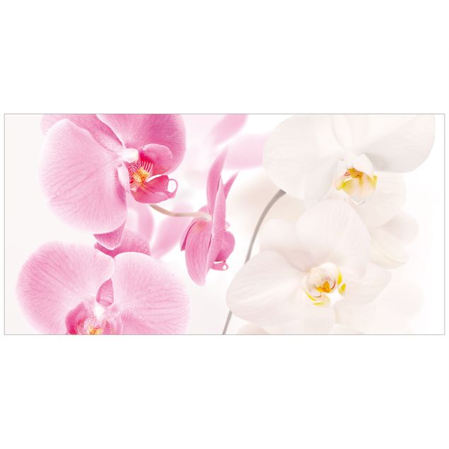 Autocolantes para vidros flores Delicate Orchids