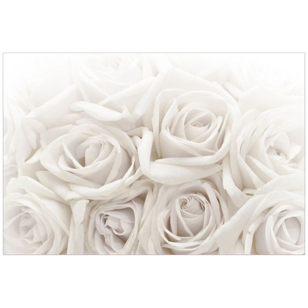 Autocolantes para vidros flores White Roses